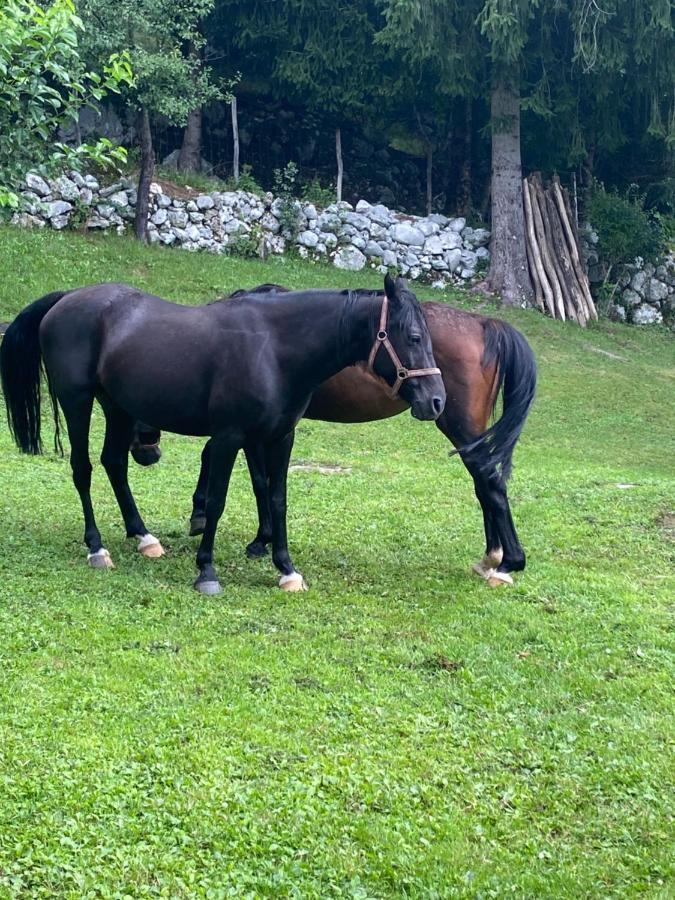 Posestvo Tmzek Villa Bovec Luaran gambar
