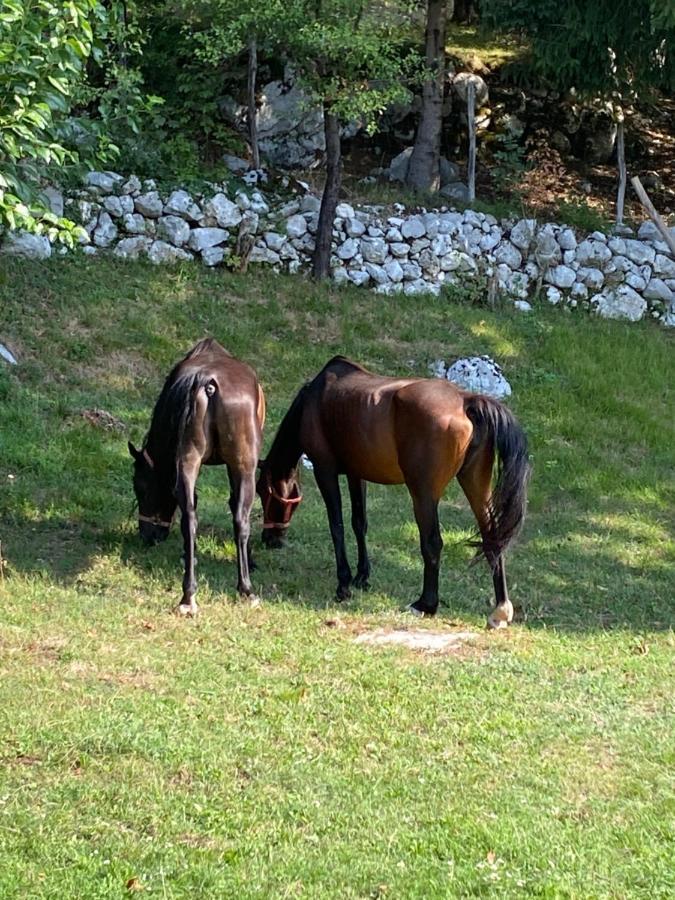 Posestvo Tmzek Villa Bovec Luaran gambar